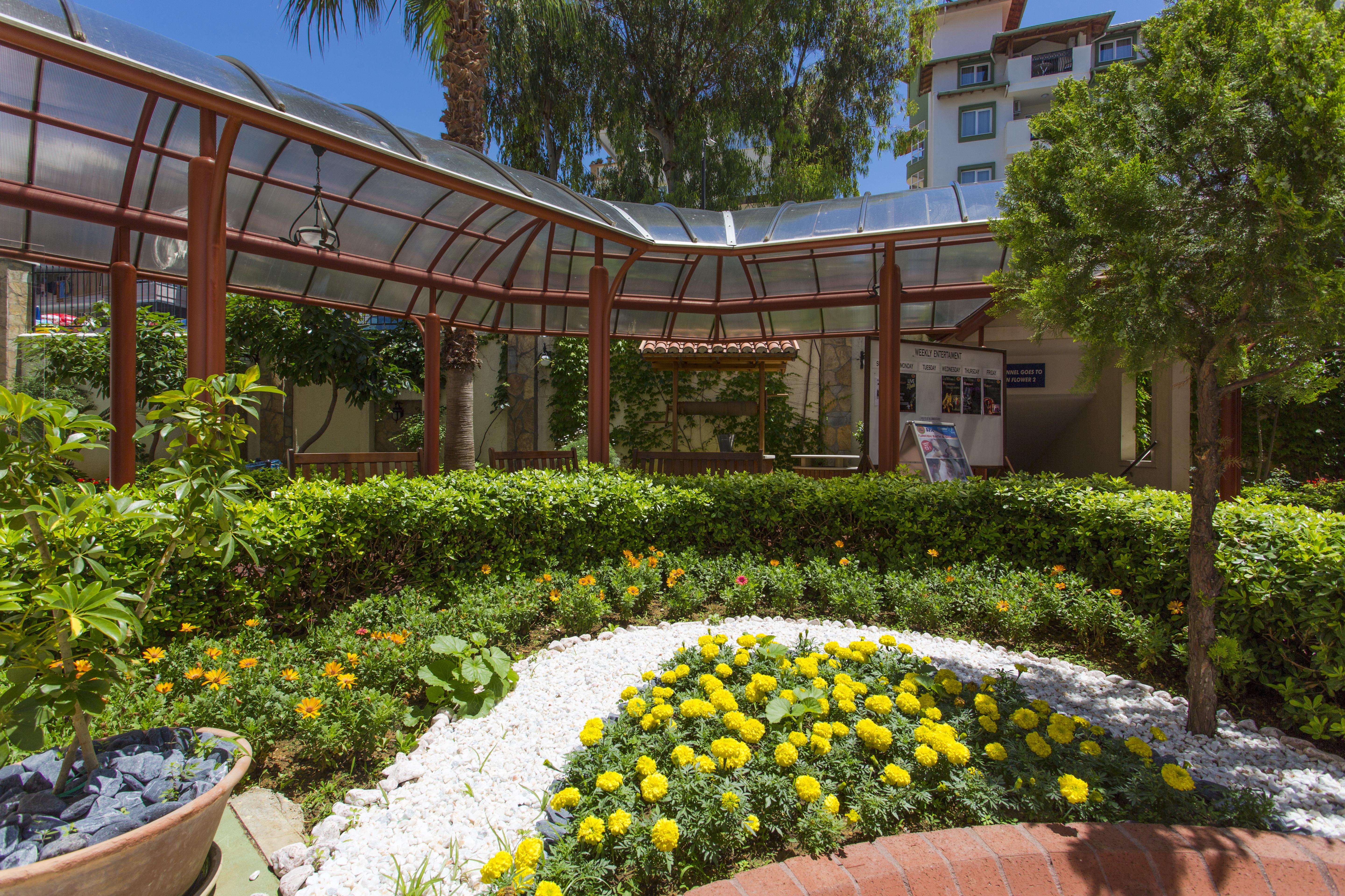 Villa Sunflower Hotel 阿拉尼亚 外观 照片